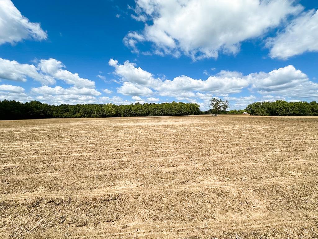 Franklin, VA 30 acres Land and Farms Realty